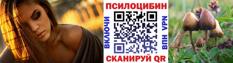 Галлюциногенные грибы мицелий  Купить закладки  Дно 
