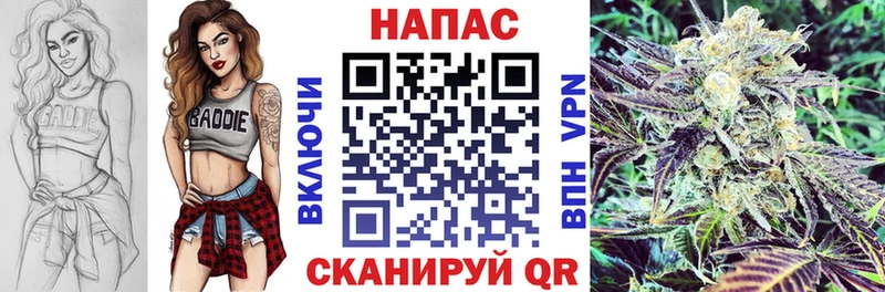 Каннабис сатива  Купить  Дно 